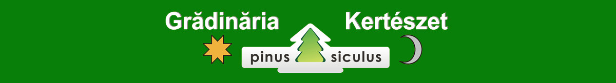 Slider 11